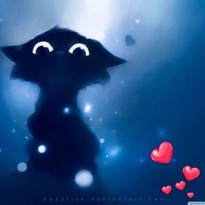 Meet your Posher, Anne